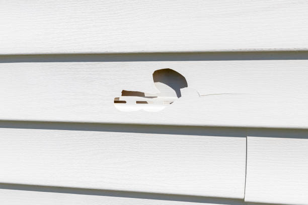 Siding Removal and Disposal in Ridgway, PA