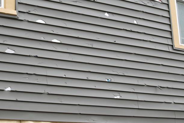 Best Custom Siding Design  in Ridgway, PA